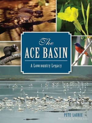 cover image of The ACE Basin